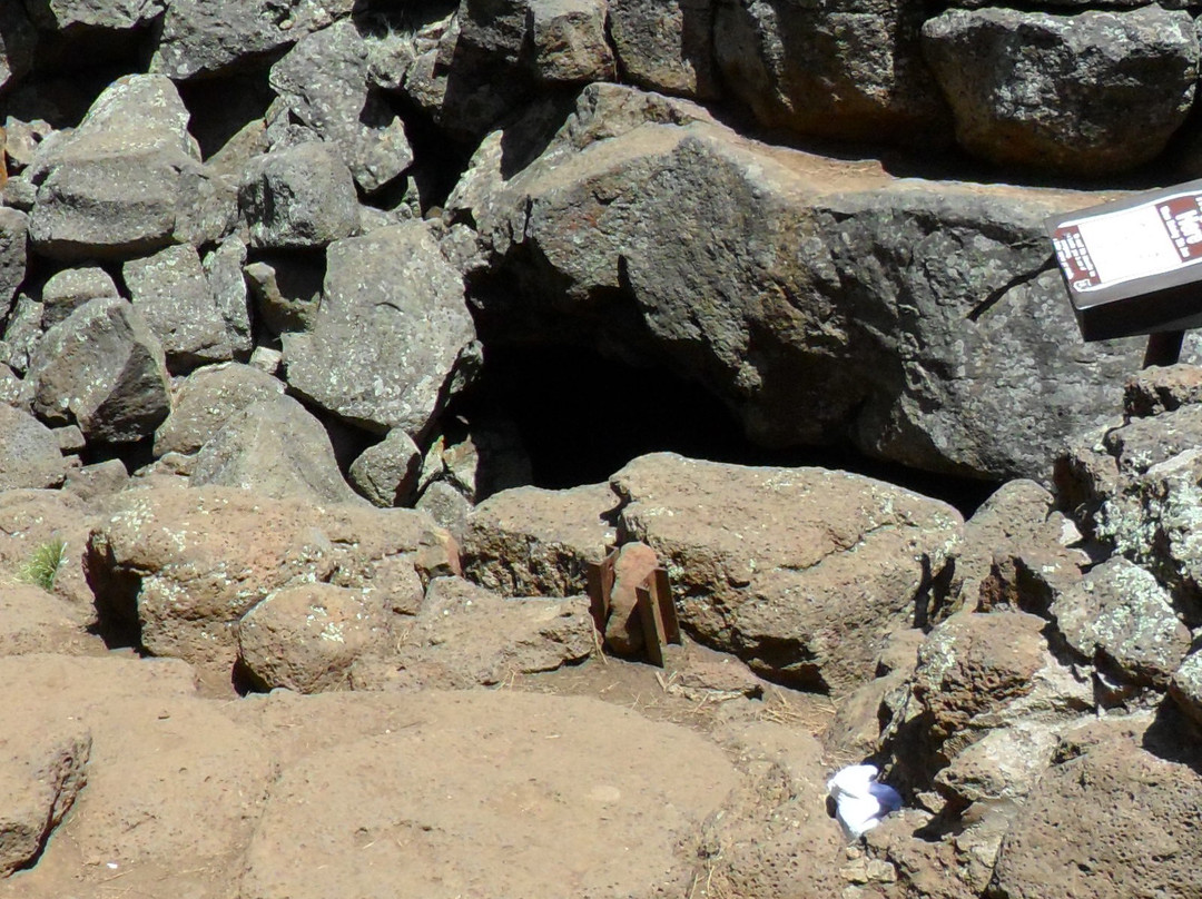 Lava River Cave-弗拉格斯塔夫必去景点