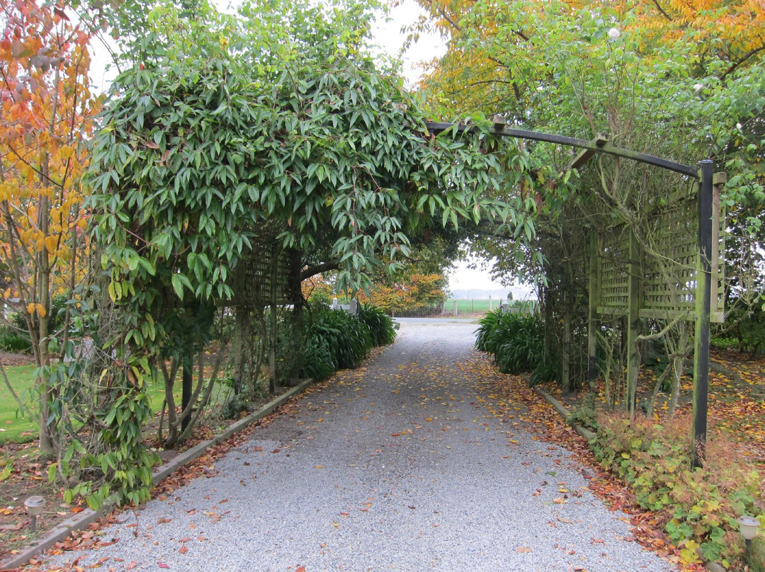Temuka Gardens B & B主图