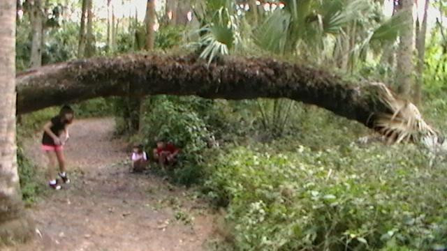 Paleo Hammock Preserve-圣露西港必去景点
