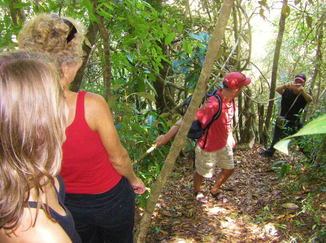 Santa Fe Caribbean Tours & Lodges景点图片