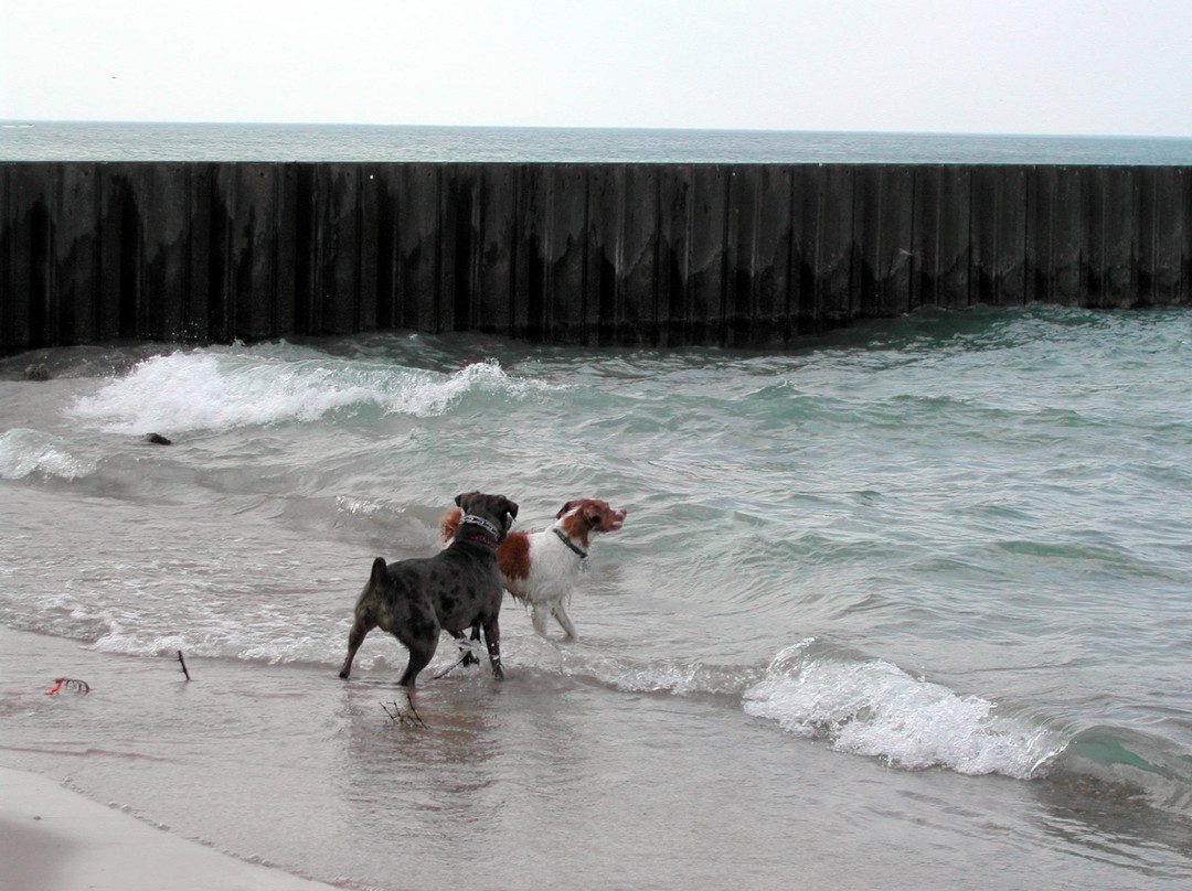 Moraine Park-Highland Park必去景点