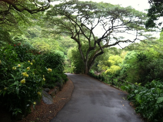 威美亚山谷-哈雷瓦必去景点