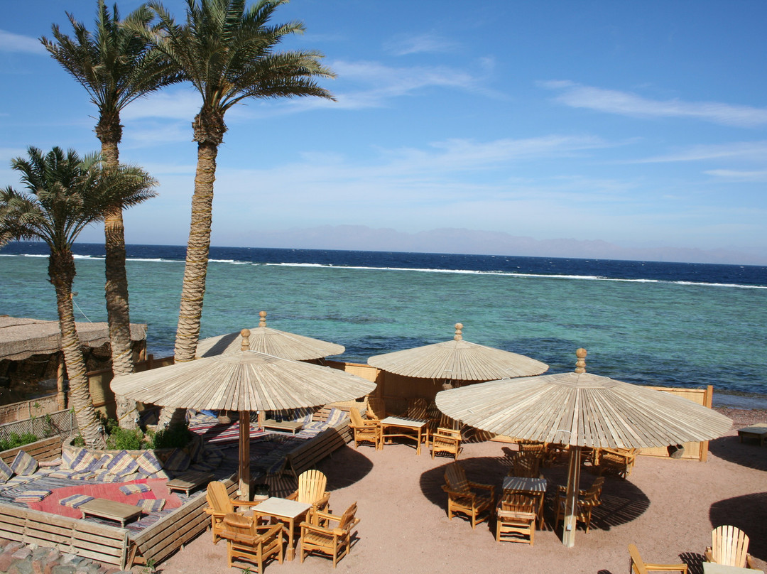 Al Bad'酒店住宿-Dive Urge