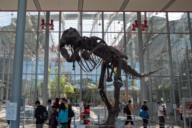 加州科学馆-旧金山必去景点