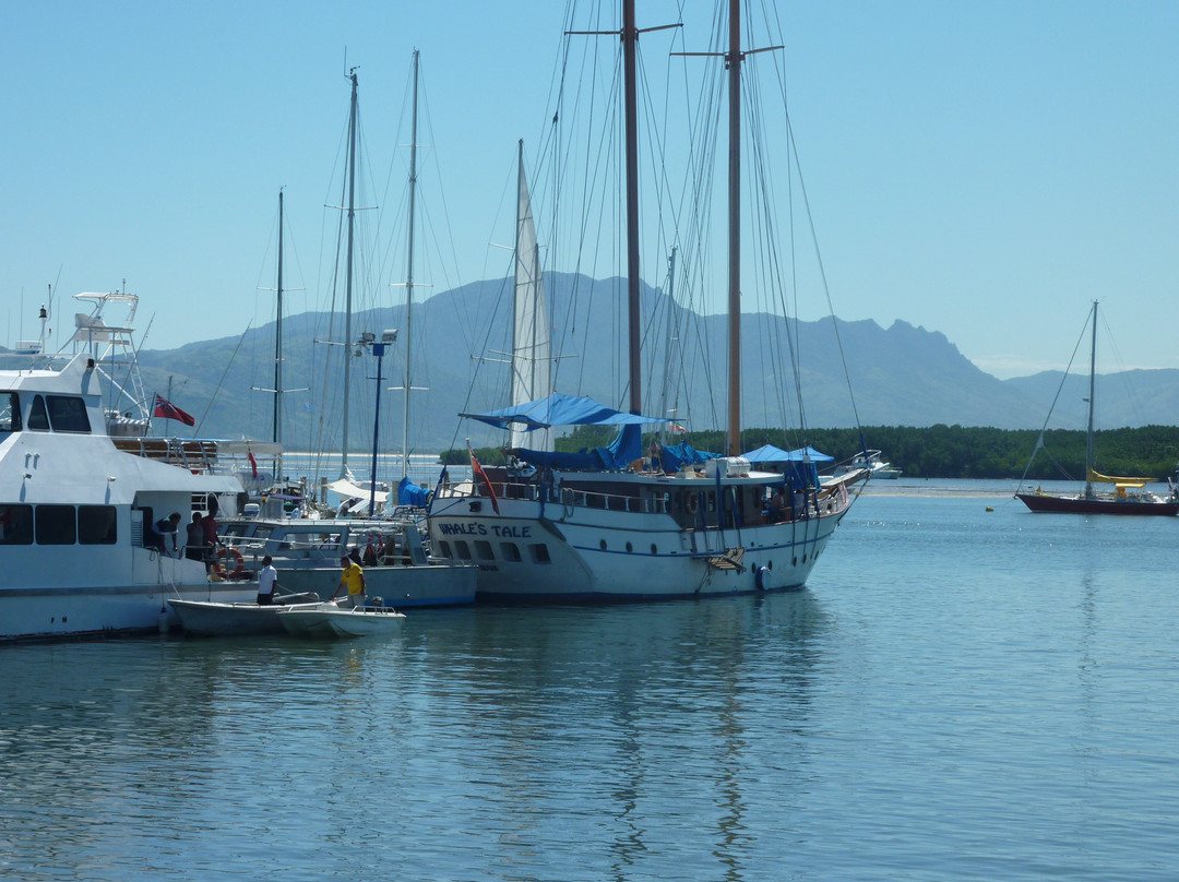 Whale's Tale Cruises Fiji-丹娜努岛必去景点