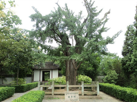 松江天马山-上海市必去景点