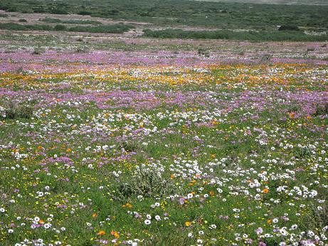 West Coast National Park-West Coast National Park必去景点