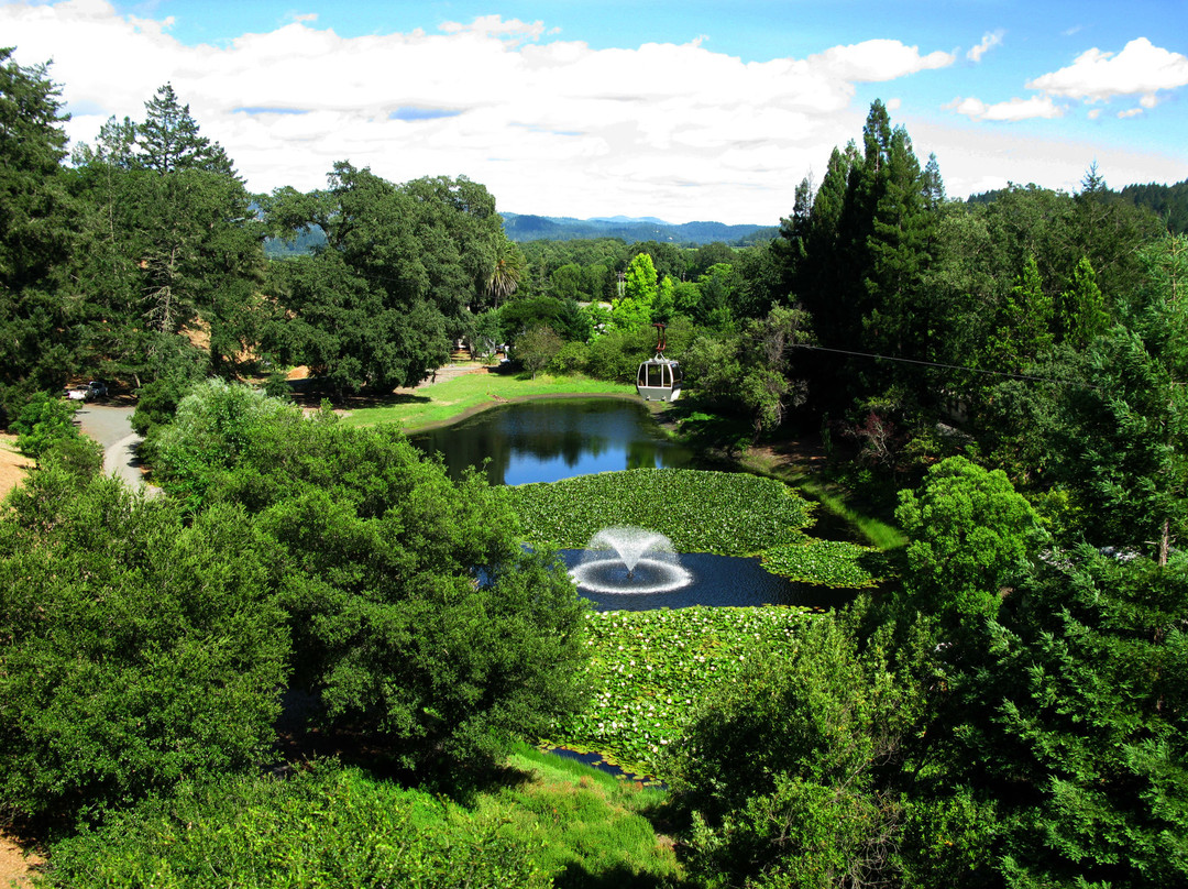 史特林酒庄-卡利斯托加必去景点
