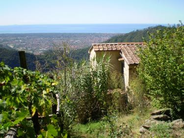 Agriturismo Biologico"IL PARADISO"