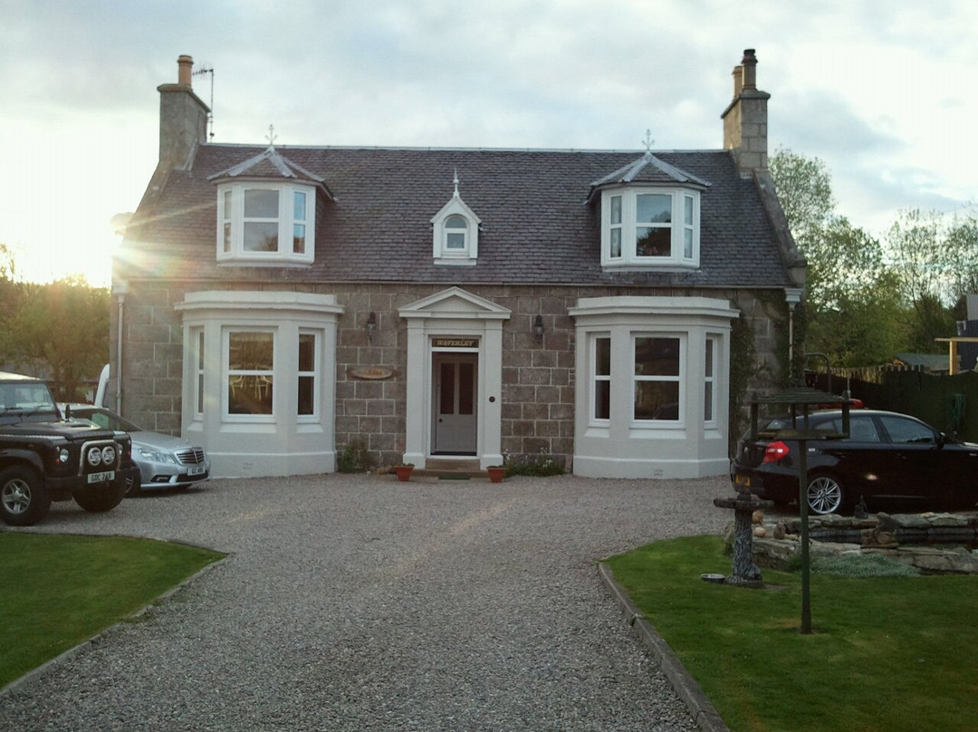 Waverley Villa Guesthouse主图