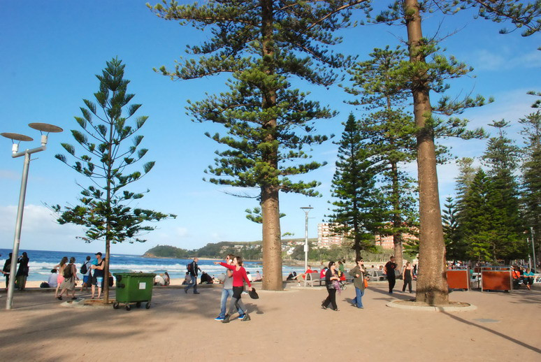 曼利海滩-悉尼必去景点