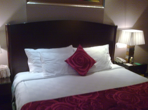 嘉逸国际酒店主图