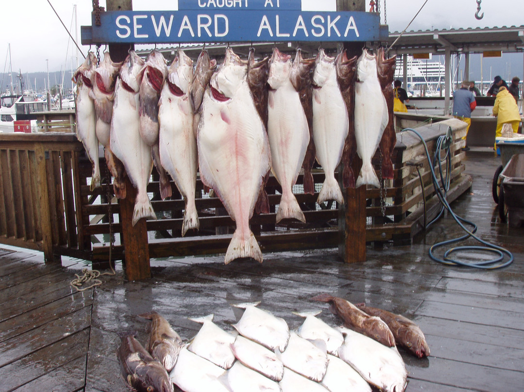 ProFish-n-Sea Charters-苏厄德必去景点