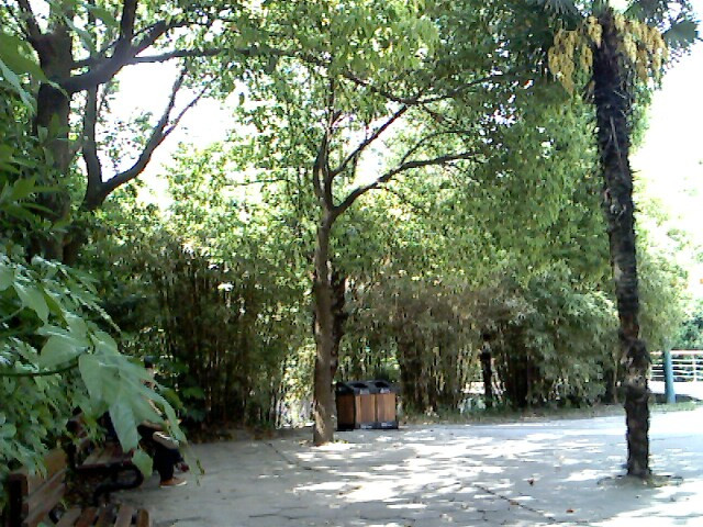 文峰公园-南通市必去景点