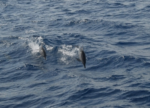 永乐群岛-西沙群岛必去景点