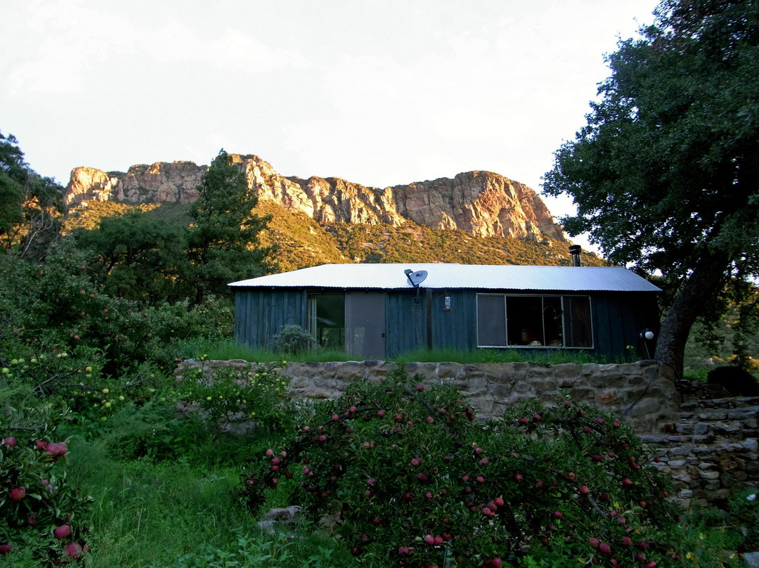 Beatty's Guest House and Orchard