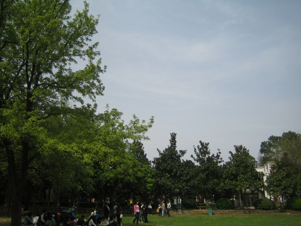 武汉植物园-武汉市必去景点