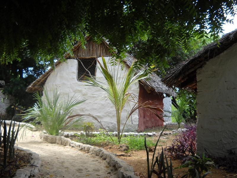 The Beach Africa Backpackers and Hostels
