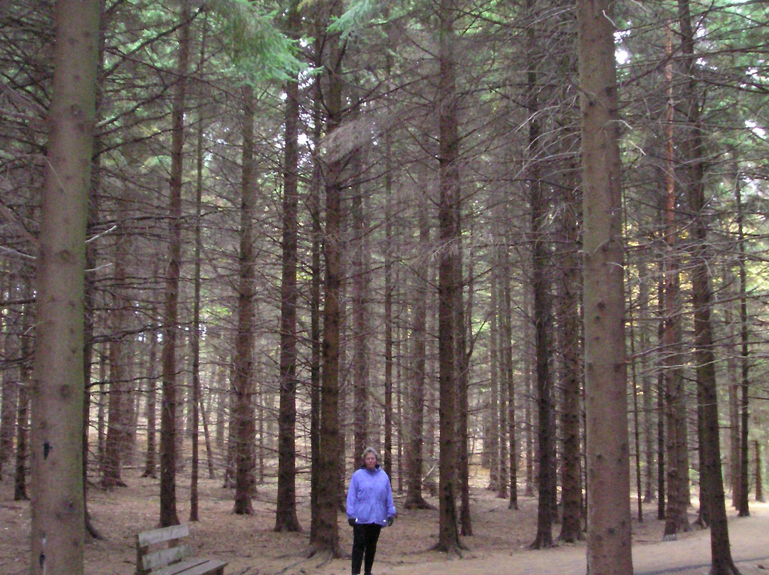 Lapham Peak-Delafield必去景点