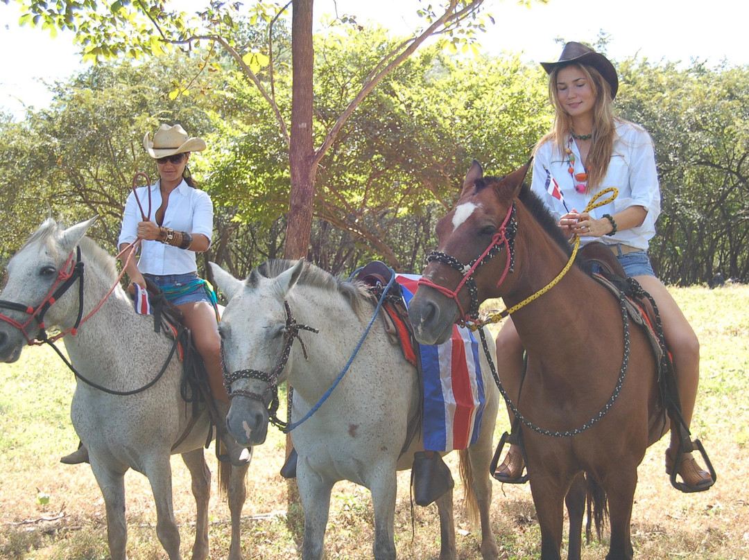Black Stallion Eco Park & Estates景点图片