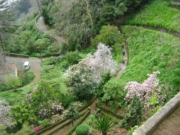 Madeira Adventure Kingdom-沙尔必去景点