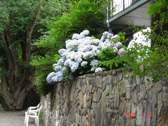 Riverside Motel主图