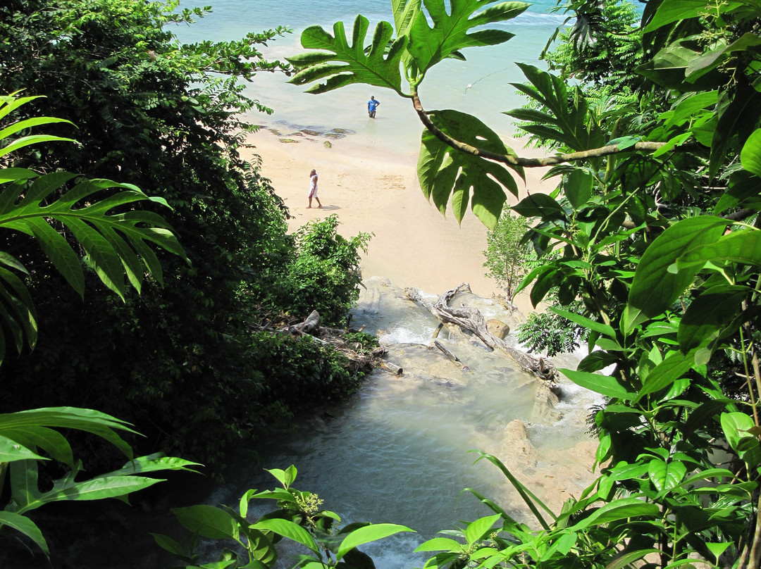 Everald's Jamaica Private Day Tours-内格里尔必去景点