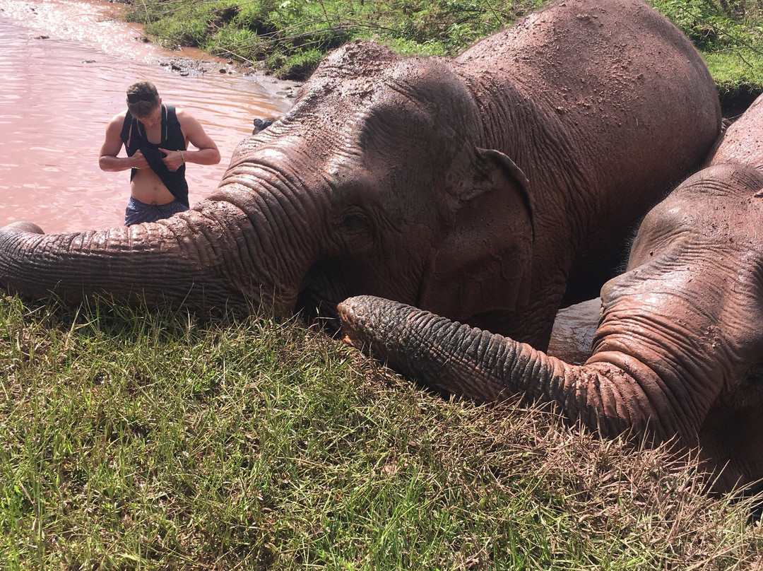 Vang Vieng Elephant Sanctuary景点图片