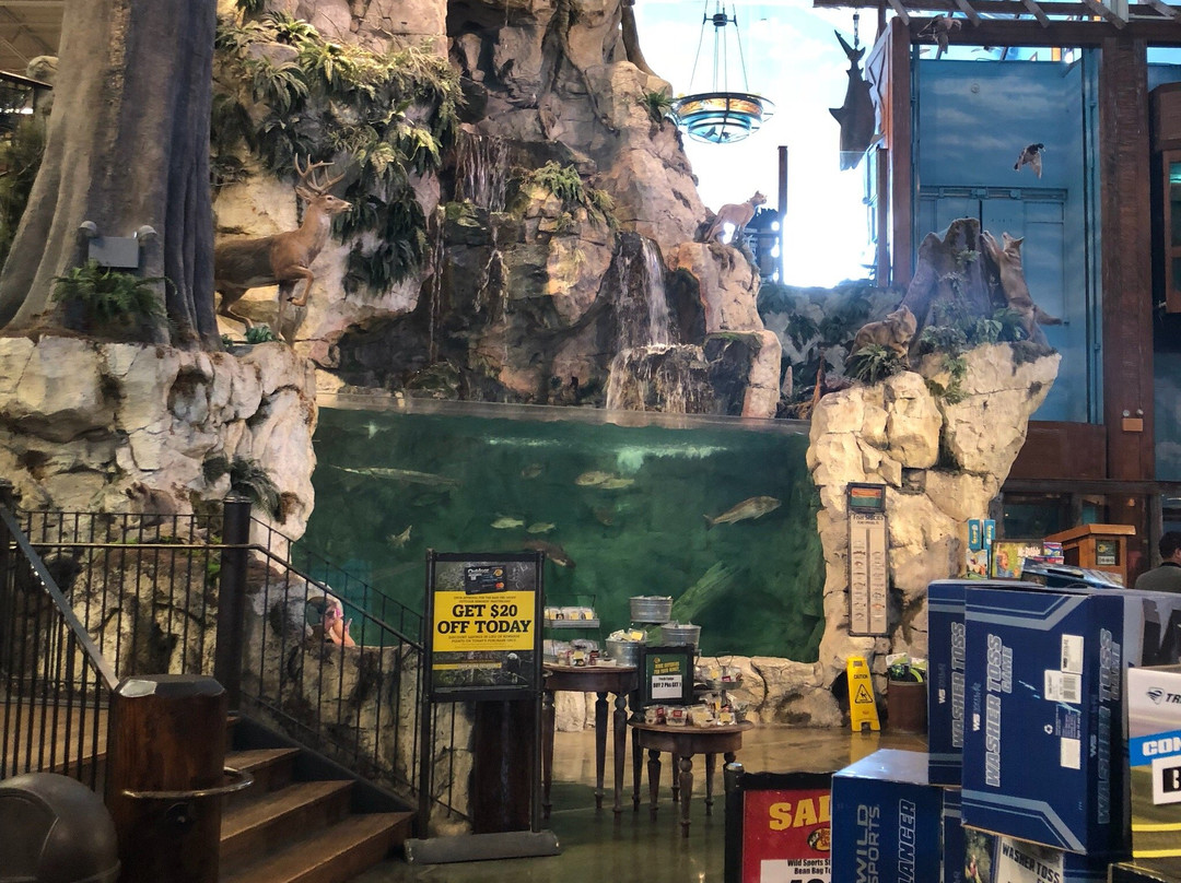 Bass Pro Shops景点图片