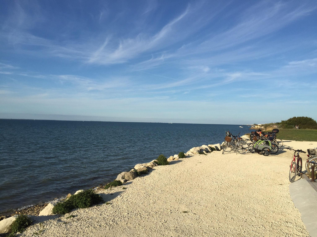 Au Qg De La Mer
