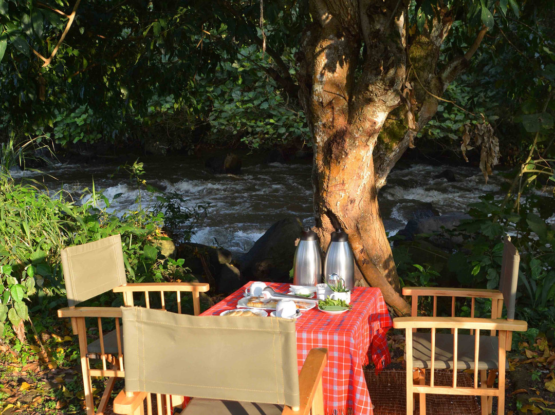 Rubalika Safari Lodge And Farm