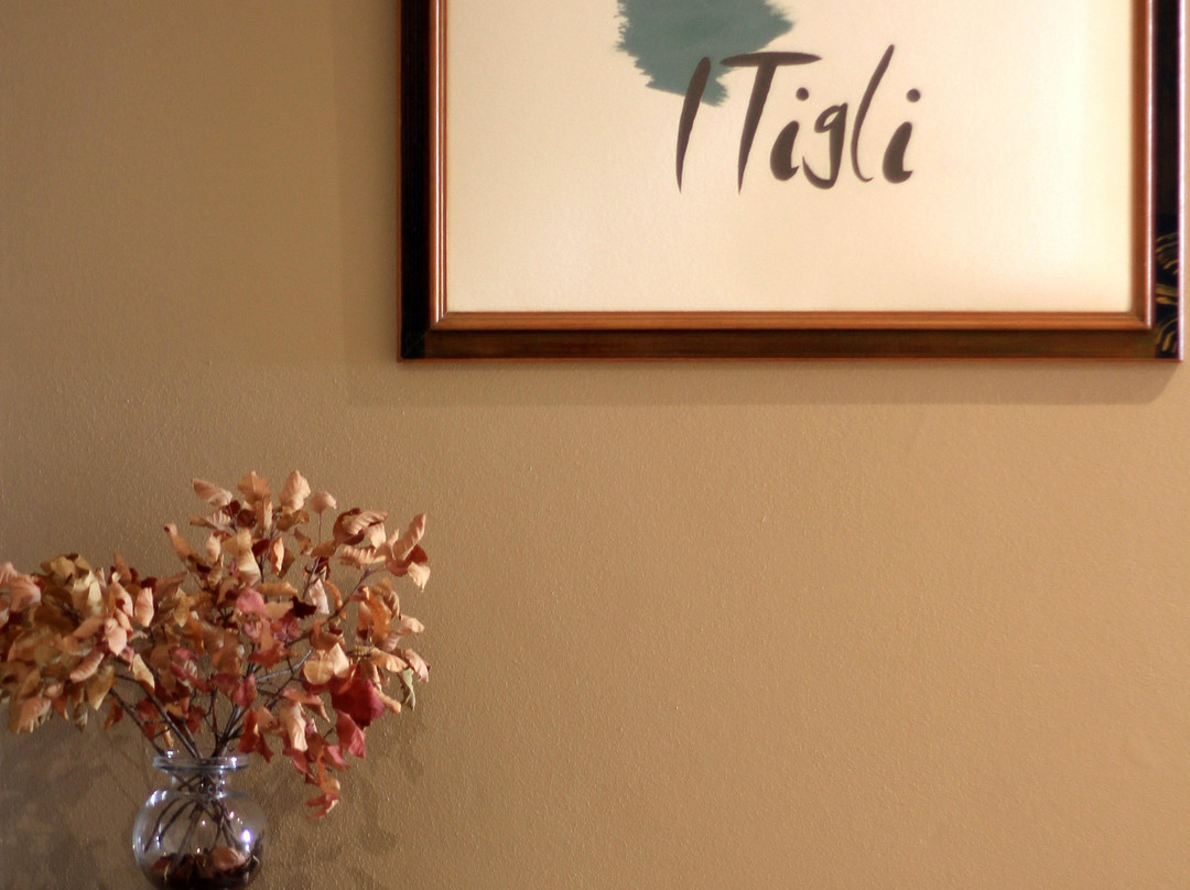 I Tigli Guest House主图