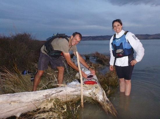 Driftwood Eco Tours-Kaikoura必去景点