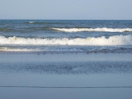 Beach at Daytona Beach景点图片