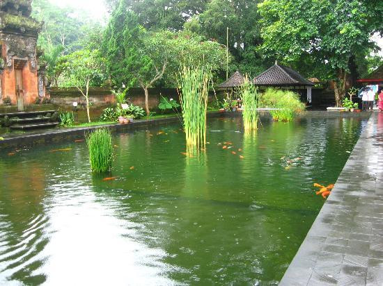 圣泉寺景点图片