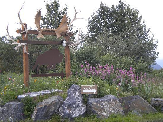Alaska Wildlife Conservation Center景点图片
