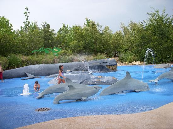 Jacksonville Zoo & Gardens-杰克逊维尔必去景点