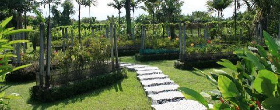 巴厘兰花园-登巴萨必去景点