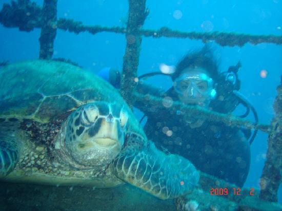 夏威夷彩虹潜水呼吸器-火奴鲁鲁必去景点