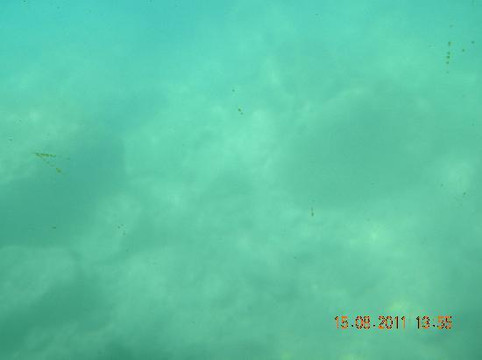 Vision Sous marine-赛特必去景点