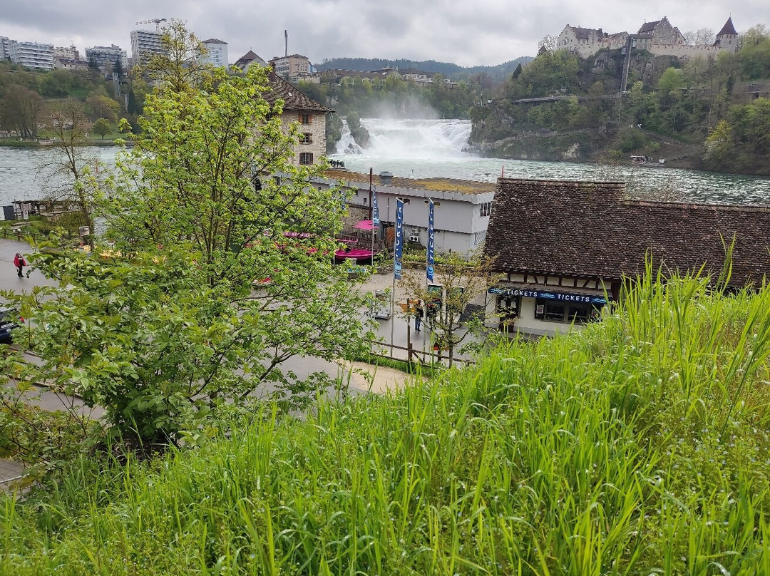 Rheinfallquai-诺伊豪森必去景点
