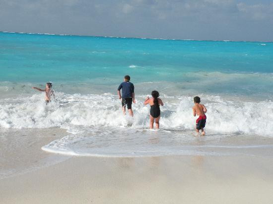 Caicos Dream Tours-普罗维登西亚莱斯必去景点