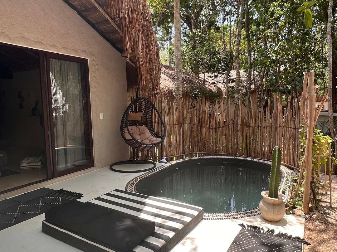 The Yellow Nest主图