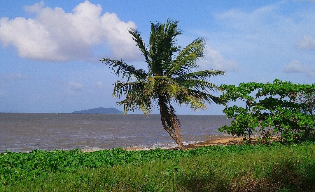 Sentier des Salines-Remire-Montjoly必去景点