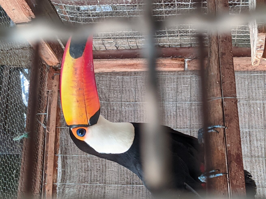 Fazenda Renopolis-圣安东尼奥杜皮尼亚尔必去景点