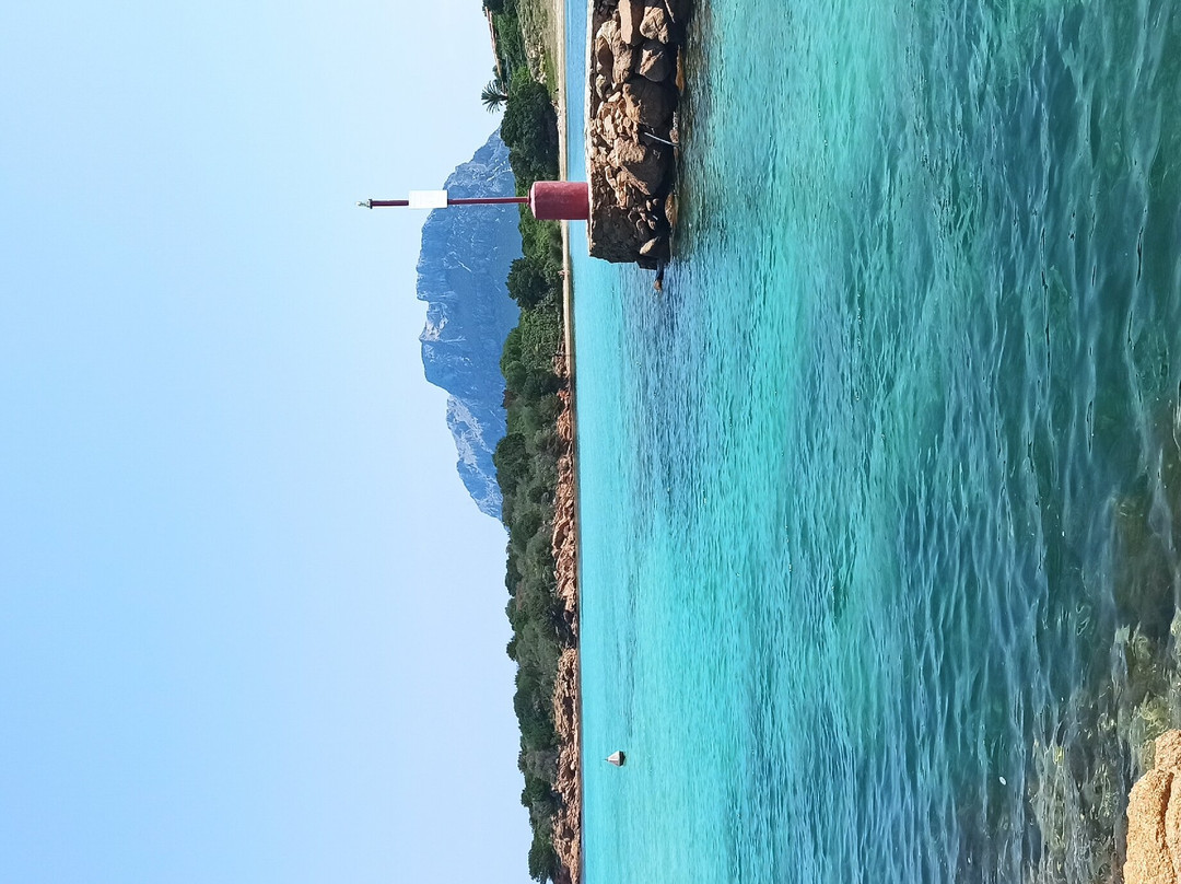 Al Porto Ristorante Pizzeria Aperitif Bar