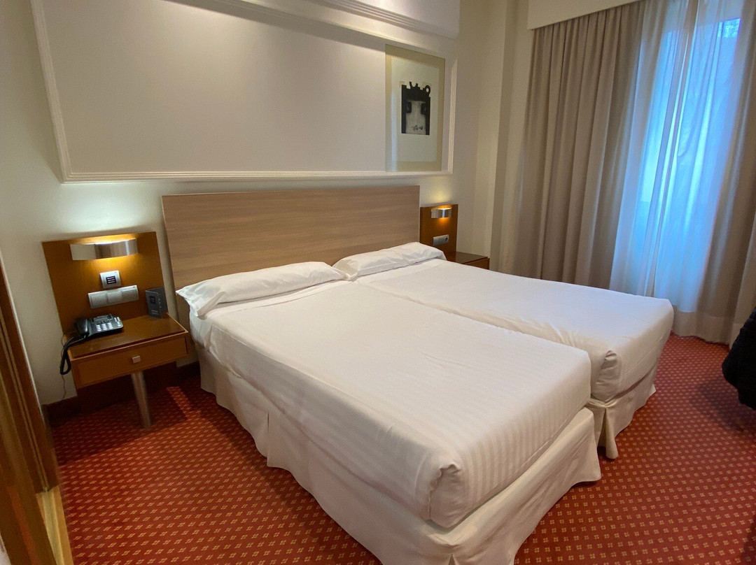 梅丽亚奥利德酒店主图