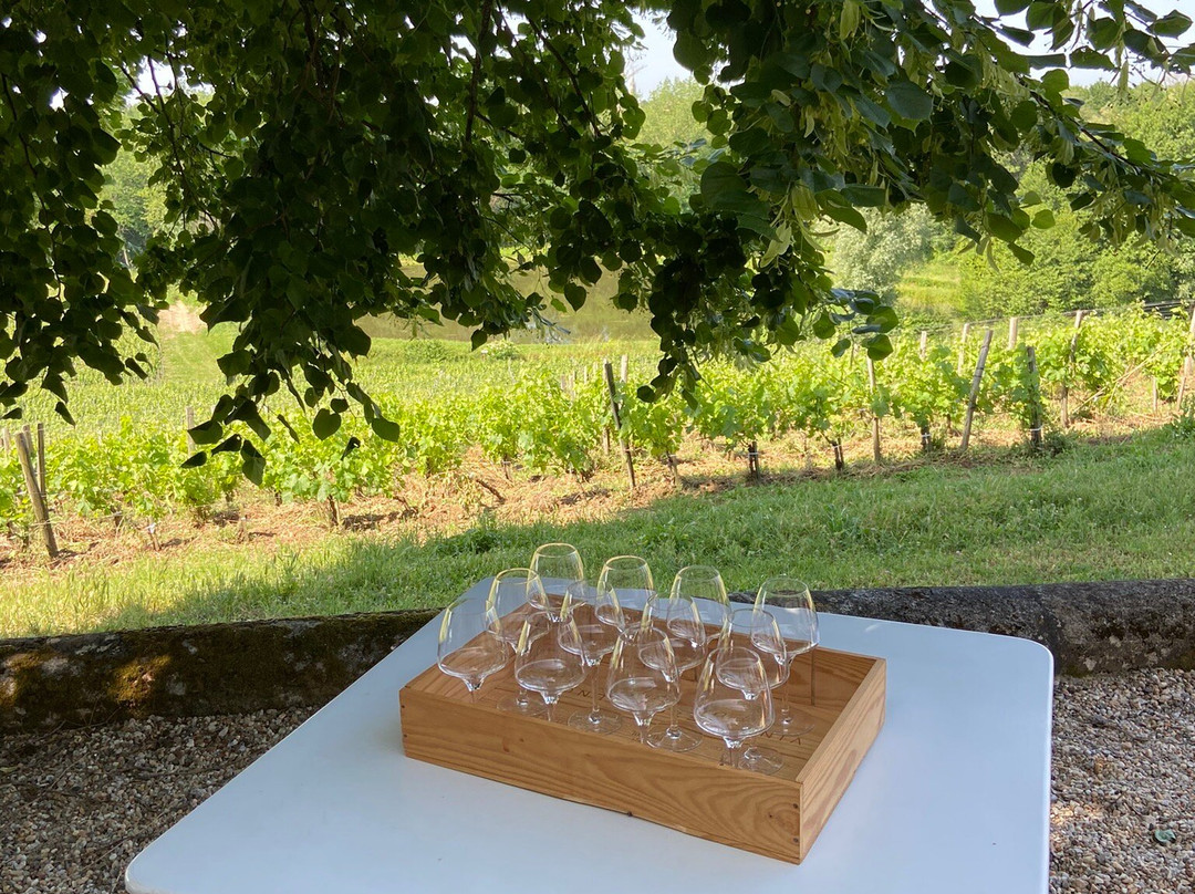 Chateau Tournefeuille主图