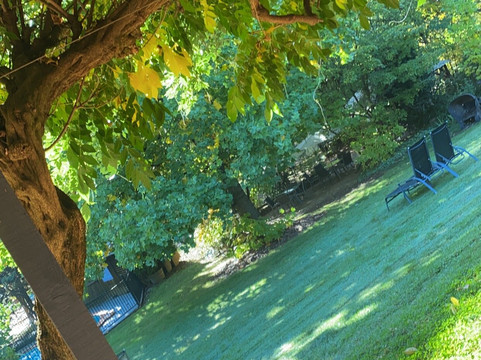 Bright Mystic Valley主图