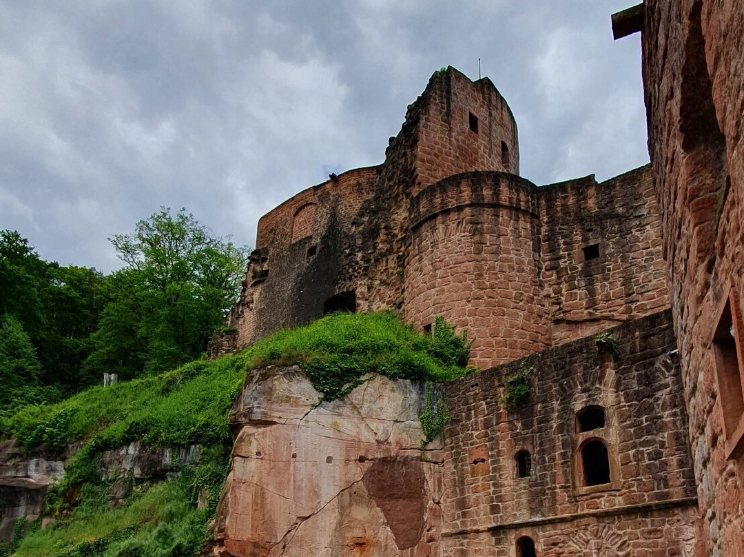 Burgruine Hardenburg-巴特迪克海姆必去景点